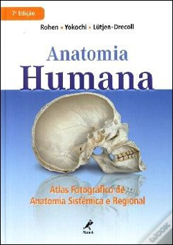 Capa do artigo Anatomia Humana