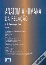 Anatomia Humana da Relação