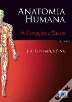 Anatomia Humana do Coração e Vasos
