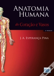 Capa do artigo Anatomia Humana do Coração e Vasos