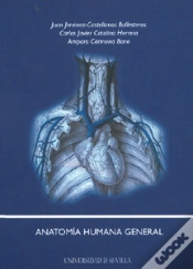 Capa do artigo Anatomia Humana General