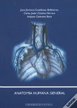 Capa do artigo Anatomia Humana General