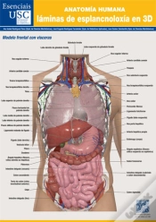 Capa do artigo Anatomia Humana