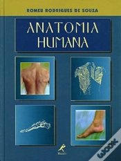 Capa do artigo Anatomia Humana 