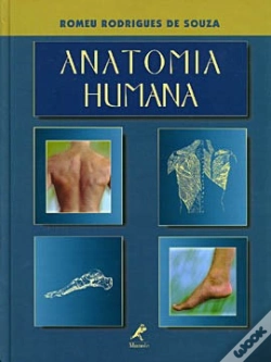 Capa do artigo Anatomia Humana 