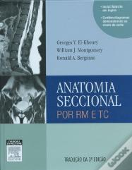 Anatomia Seccional