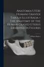 Anatomia Uteri Humani Gravidi Tabulis Il - Preview