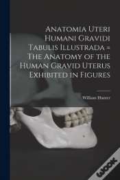 Capa do artigo Anatomia Uteri Humani Gravidi Tabulis Il