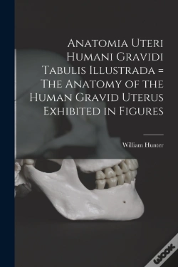 Capa do artigo Anatomia Uteri Humani Gravidi Tabulis Il