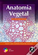 Anatomia Vegetal