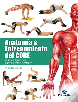 Capa do artigo Anatomía Y Entrenamiento Del Core
