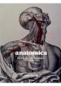 Anatomica - Preview