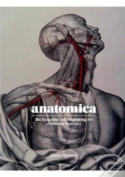 Capa do artigo Anatomica