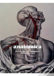 Capa do artigo Anatomica