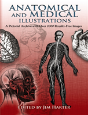 Anatomical And Medical Illustrations - Preview