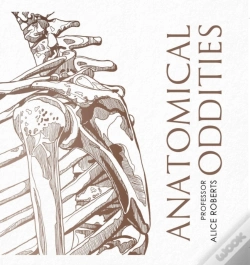 Capa do artigo Anatomical Oddities