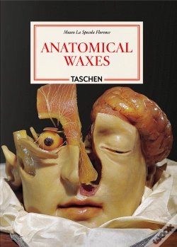 Capa do artigo Anatomical Waxes