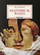 Anatomical Waxes