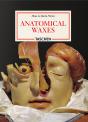 Anatomical Waxes - Preview