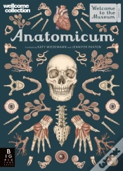 Capa do artigo Anatomicum