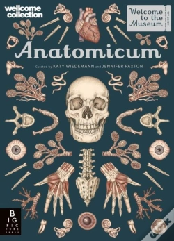 Capa do artigo Anatomicum