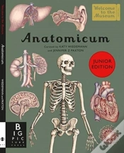 Capa do artigo Anatomicum Junior