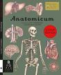 Anatomicum Junior - Preview
