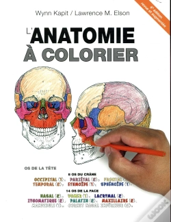 Capa do artigo Anatomie À Colorier (4e Édition)