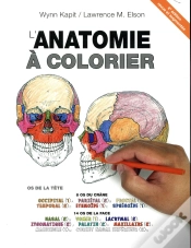 Capa do artigo Anatomie À Colorier (4e Édition)