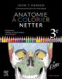 Anatomie À Colorier Netter (3e Édition) - Preview