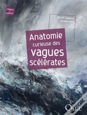 Capa do artigo Anatomie Curieuse Des Vagues Scélérates