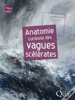 Capa do artigo Anatomie Curieuse Des Vagues Scélérates