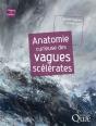 Anatomie Curieuse Des Vagues Scélérates - Preview