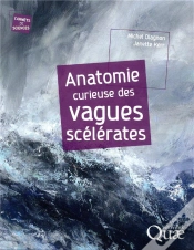 Capa do artigo Anatomie Curieuse Des Vagues Scelerates