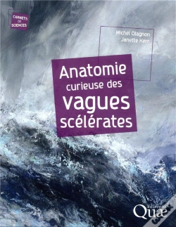 Capa do artigo Anatomie Curieuse Des Vagues Scelerates