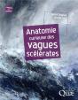 Anatomie Curieuse Des Vagues Scelerates - Preview