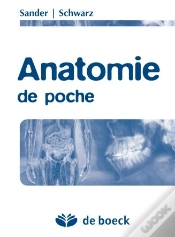 Capa do artigo Anatomie De Poche