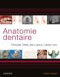 Anatomie Dentaire - Preview