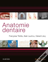 Anatomie Dentaire