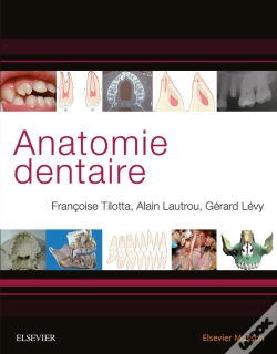 Capa do artigo Anatomie Dentaire