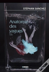 Anatomie Des Vagues