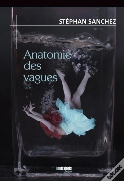 Capa do artigo Anatomie Des Vagues