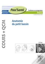 Capa do artigo Anatomie Du Petit Bassin (Cours + Qcm)