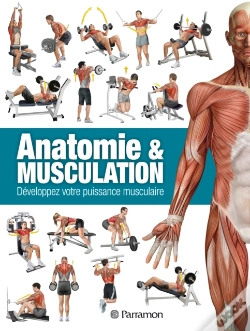 Capa do artigo Anatomie & Musculation