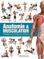 Anatomie & Musculation - Preview