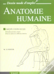 Capa do artigo Anatomie Humaine