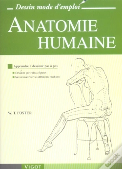 Capa do artigo Anatomie Humaine