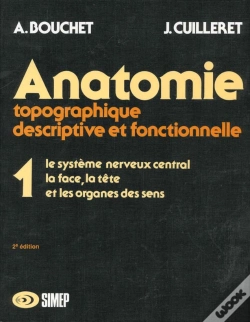Capa do artigo Anatomie T.1