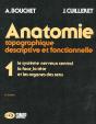 Anatomie T.1 - Preview