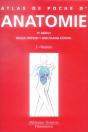 Anatomie T.2 ; Viscères - Preview